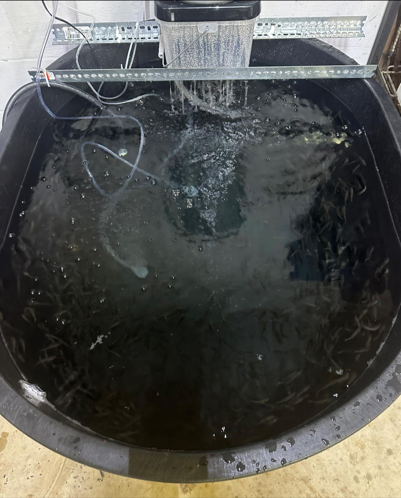 Vrsan Hardware Minnow Tank